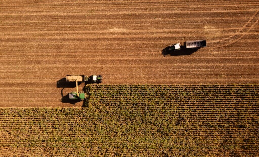AgriTech au Sénégal : Comment la digitalisation révolutionne la filière arachide en 2026