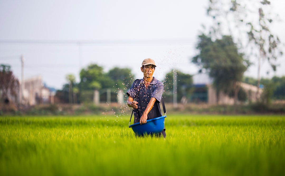 AgriTech au Sénégal : Comment la digitalisation révolutionne la gestion des stocks agricoles